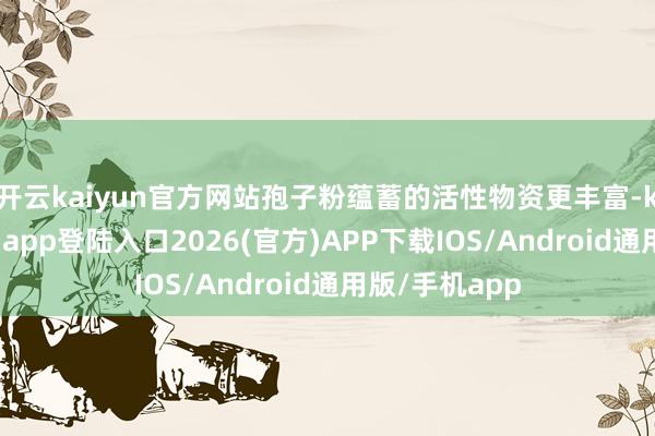 开云kaiyun官方网站孢子粉蕴蓄的活性物资更丰富-kai云体育网页app登陆入口2026(官方)APP下载IOS/Android通用版/手机app